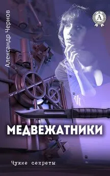 Андрей Чернов - Медвежатники