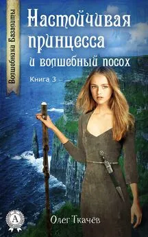 Олег Ткачёв - Настойчивая принцесса и волшебный посох