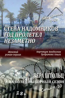 Владислав Картавцев - Степа Надомников. Жизнь на чужбине. Год пролетел незаметно. Вера Штольц. А на воле – выборный сезон. Серия 9–10 (сборник)