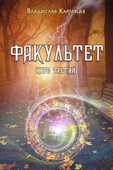 Владислав Картавцев - Факультет. Курс третий