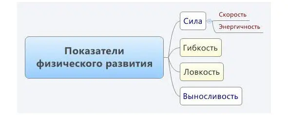 В отличие от показателей телесного здоровья силу гибкость ловкость и - фото 4