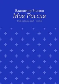 Владимир Волков - Моя Россия. Стань на земле своей – хозяин