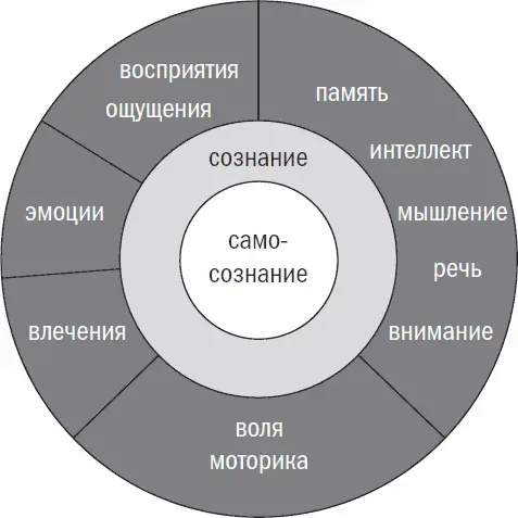 3 Понятие психического расстройства Расстройства продуктивные и негативные - фото 17