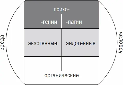 Нижний уровень телесный в биологическом смысле Возникающие на его поле - фото 24