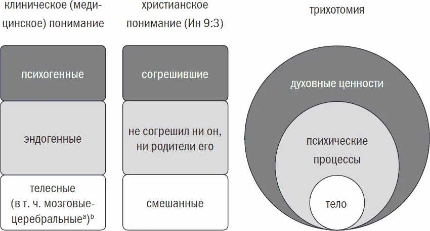 a Церебральный от cerebrum головной мозг b Для наглядности упрощая эту - фото 25