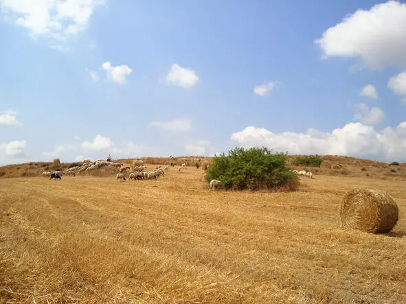 На летних полях Гэя In the summer fields of Hay Не лжёшь ли ты Оуэн Пен - фото 5