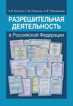 Александр Чаплинский - Разрешительная деятельность в Российской Федерации