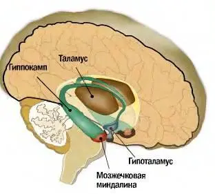 Daries of Krovos Neuron - фото 2