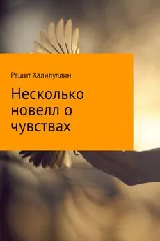 Рашит Халилуллин - Несколько новелл о чувствах