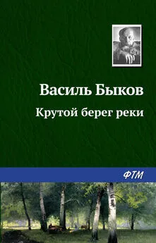 Василий Быков - Крутой берег реки