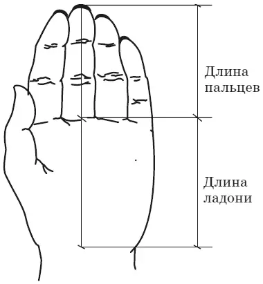 Рисунок 13 Пальцы короче ладони признак склонности к физическому труду - фото 13
