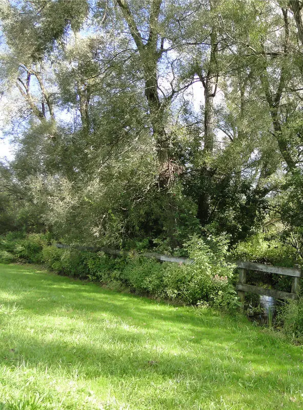 Родниковой воды зачерпну Родниковой воды зачерпну Будто прошлую жизнь - фото 2