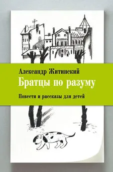 Александр Житинский - Братцы по разуму. Повести и рассказы для детей