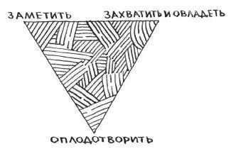 Почему треугольники направлены вершинами вверх и вниз Потому что у женщин с - фото 4