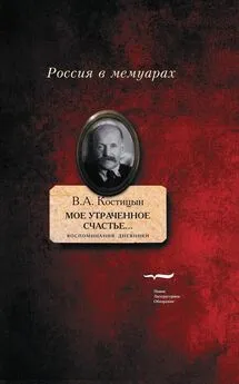 Владимир Костицын - «Мое утраченное счастье…» Воспоминания, дневники