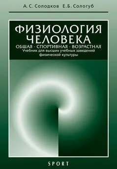 Алексей Солодков - Физиология человека. Общая. Спортивная. Возрастная: учебник, 7-е издание