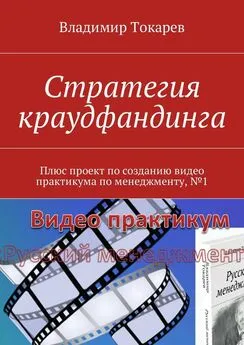 Владимир Токарев - Стратегия краудфандинга. Плюс проект по созданию видео практикума по менеджменту, №1