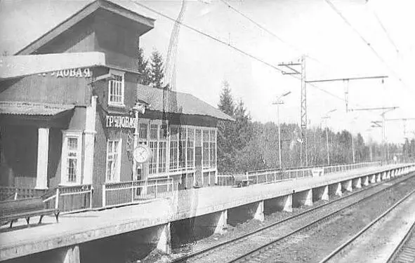 Платформа Трудовая 1959 год Стройрайон Главспецстроя МВД возглавляемый - фото 16