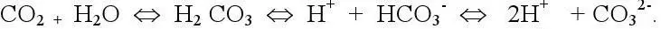 От количественных соотношений между НСО 3 СО 3 2 ионами и СО 2зависит - фото 2