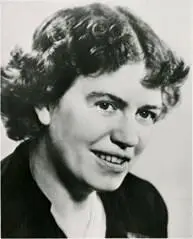 Маргарет Мид англ Margaret Mead 1901 1978 Второй пример это - фото 3