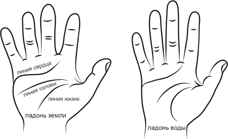 Рис 4 Форма рук по типам Стихий Ладонь обычно жесткая а пальцы не очень - фото 4
