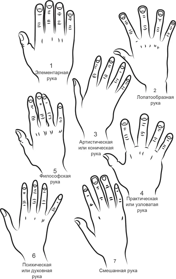 Рис 5 Типы рук по С ДАрпентиньи Для более детального анализа иногда - фото 6