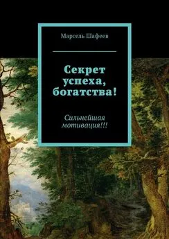 Марсель Шафеев - Секрет успеха, богатства! Сильнейшая мотивация!!!