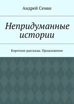 Андрей Семке - Непридуманные истории. Короткие рассказы. Продолжение