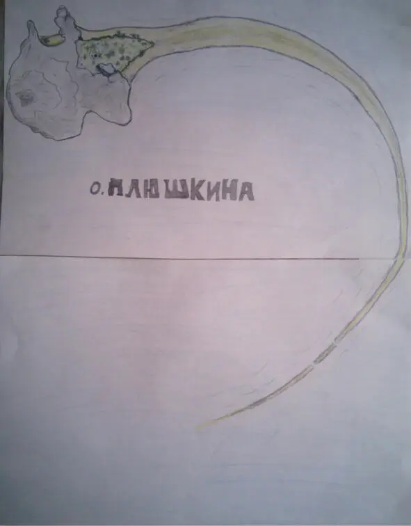 Остров Так я его представляю с высоты птичьего полета От скалы она тянулась - фото 2
