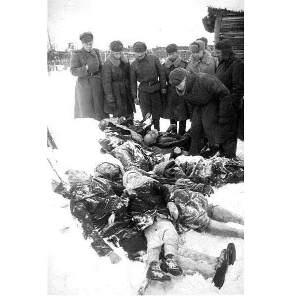 Этот снимок был сделан после освобождения Гатчины В ноябре 1941 года в селе - фото 12