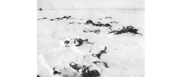 По имеющимся данным во время войны погибли следующие гражданские жителиевреи - фото 15