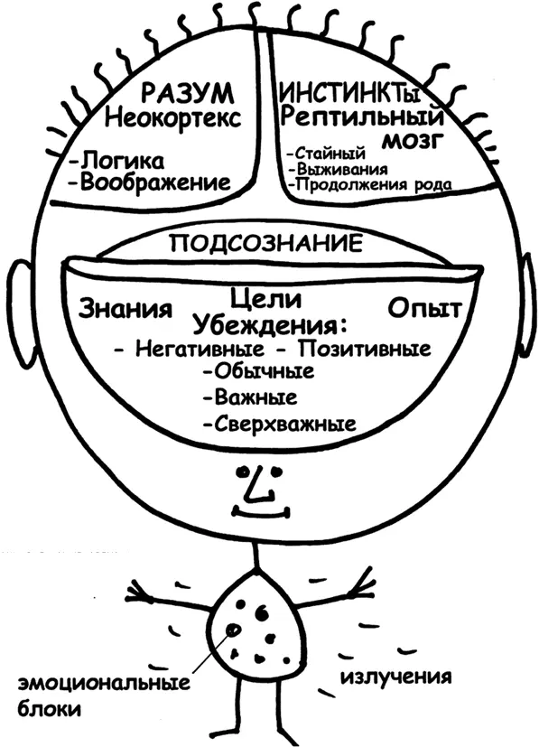 Рис 2 Модель управления человеком Чтобы лучше понять эти идеи обратимся к - фото 7