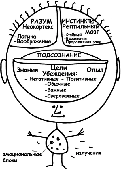 Из предыдущей главы вы узнали что Рептильный мозг все время контролирует - фото 28