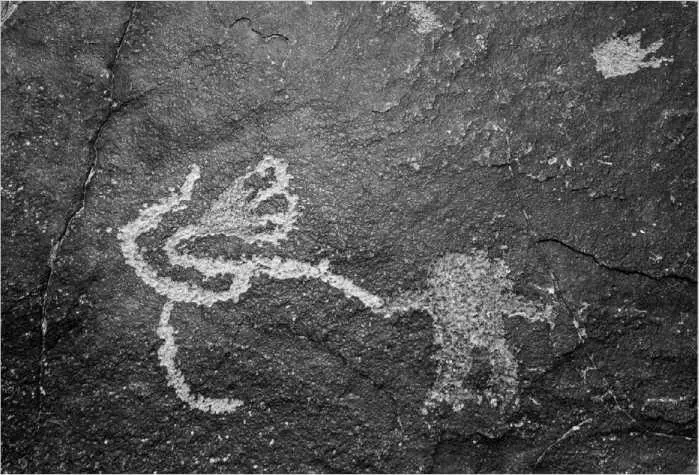 Петроглиф найденный на перевале Анасази в штате НьюМексико Похожий на - фото 1