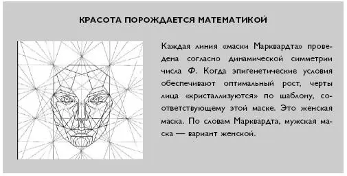 В литературе о человеческой красоте часто говорится о двухлучевой симметрии - фото 8