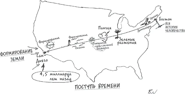 Судя по всему эволюции потребовалось в десять или даже в сто раз больше - фото 1