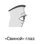 Тип глазаСвиной маленький глаз находится в очень узкой глазной щели веки - фото 24