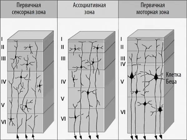 Теперь мы обратимся к рассмотрению механизмов работы распознающих модулей - фото 6
