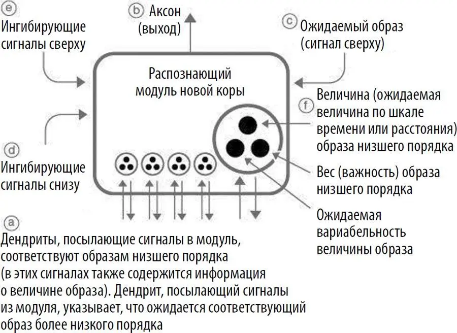 Каждый образ распознаваемый одним из примерно 300 млн распознающих модулей - фото 7