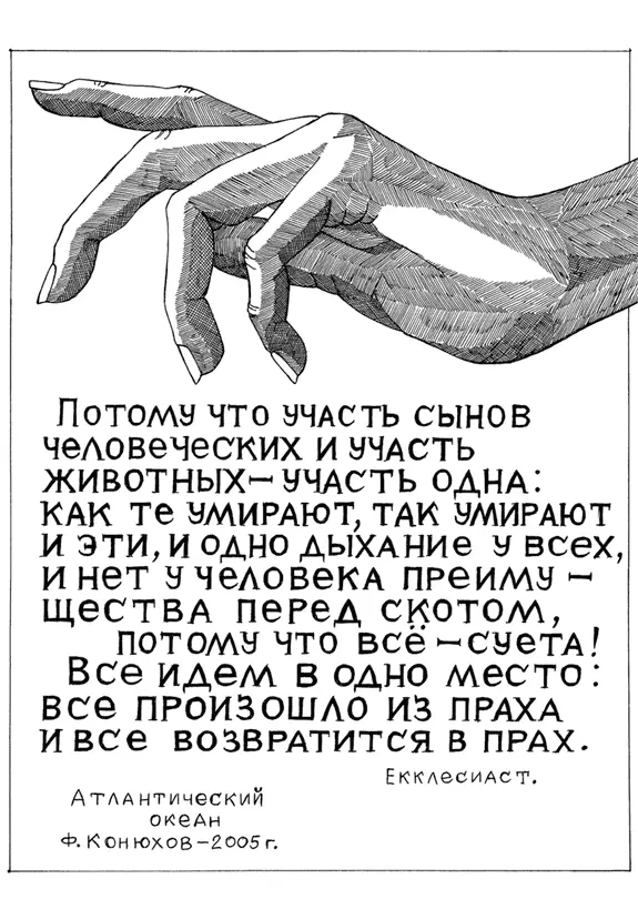 Не жалость к себе а гнев поднимается во мне когда я чувствую боль Да ко мне - фото 18