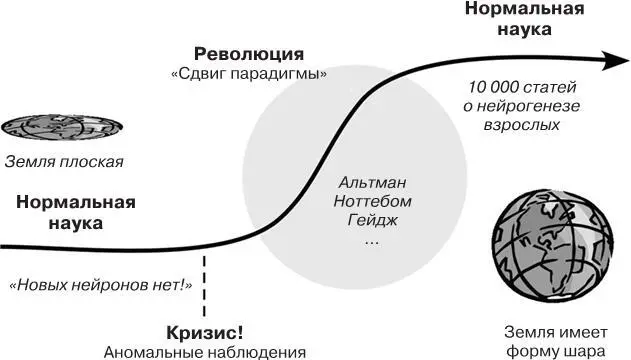 Илл 7 Знаменитый тезис Томаса Куна о скачках в научном развитии где в - фото 7