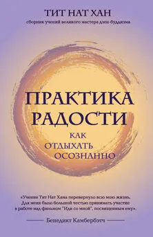 Тит Нат Хан - Практика радости. Как отдыхать осознанно