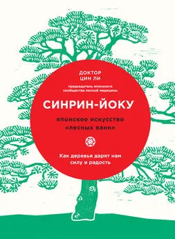 Цин Ли - Синрин-йоку: японское искусство «лесных ванн». Как деревья дарят нам силу и радость