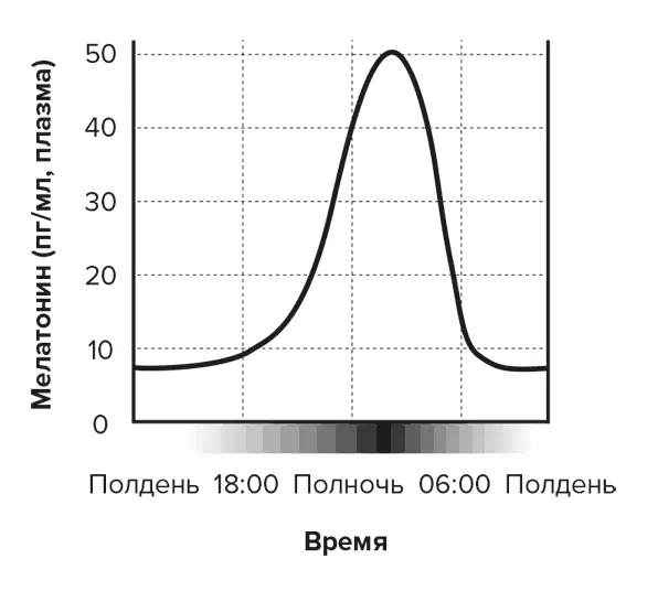 Сохраняйте ритм оставайтесь дома Появление реактивных двигателей стало - фото 2