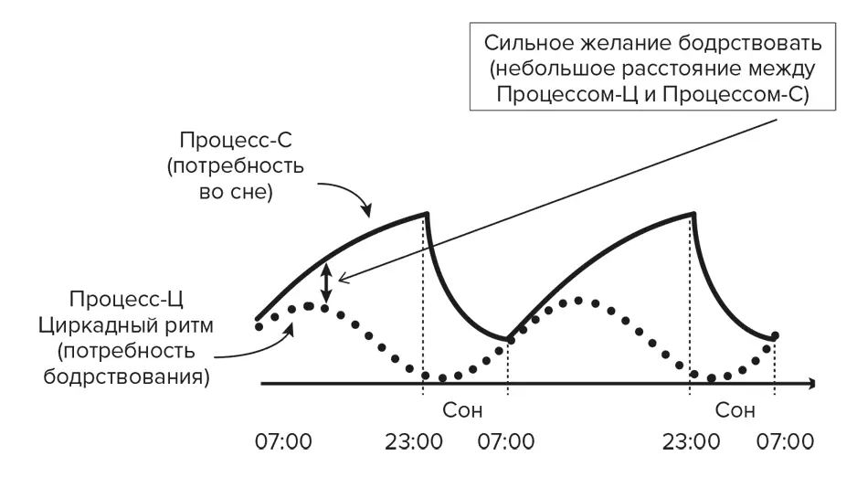 Однако к одиннадцати часам вечера ситуация становится абсолютно иной Вы - фото 5