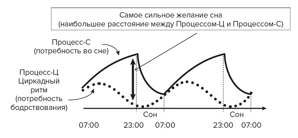 День независимости и ночь Случалось ли вам работать всю ночь или гулять - фото 6