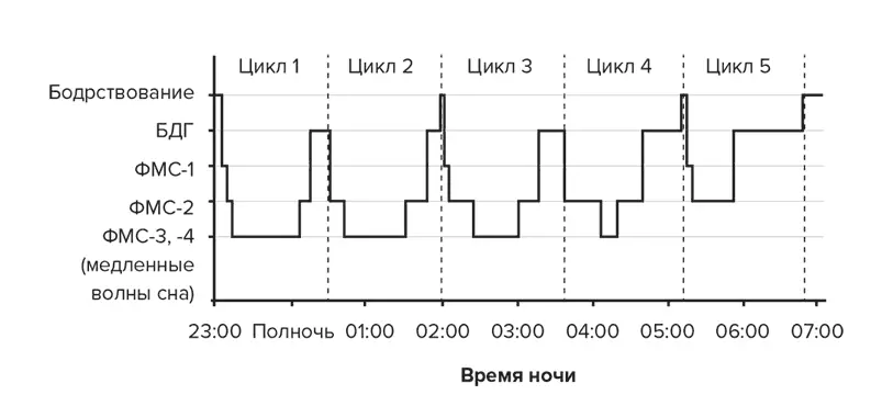 Если бы я не добавил вертикальные пунктирные линии разделяющие каждые - фото 8