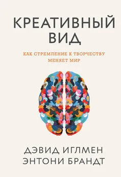 Энтони Брандт - Креативный вид. Как стремление к творчеству меняет мир