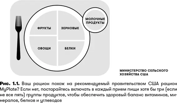 Не просто ешьте ешьте правильно Непреложное правило здорового спортивного - фото 2