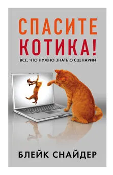 Блейк Снайдер - Спасите котика! Все, что нужно знать о сценарии